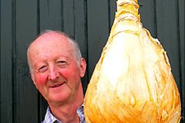 Найдется все кракен