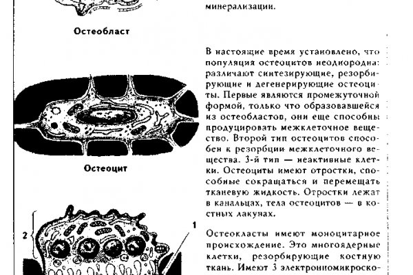 Как написать администрации даркнета кракен