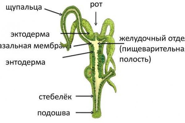 Кракен 17 рабочая ссылка